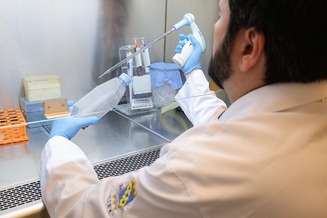 “UFC inova na luta contra o câncer com tratamento de nanotecnologia com mínimos efeitos secundários”