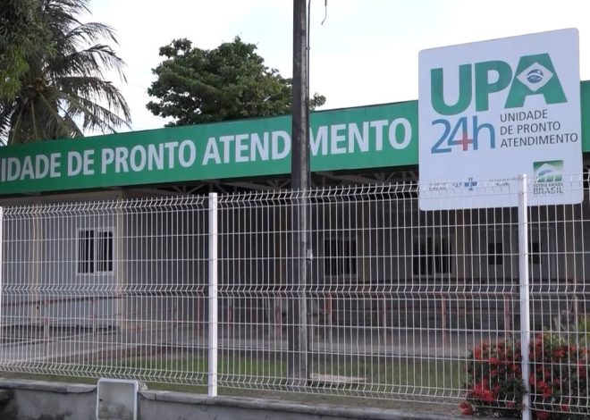 Cuidados e prevenção: 379 casos de leishmaniose registrados no Ceará em 2025