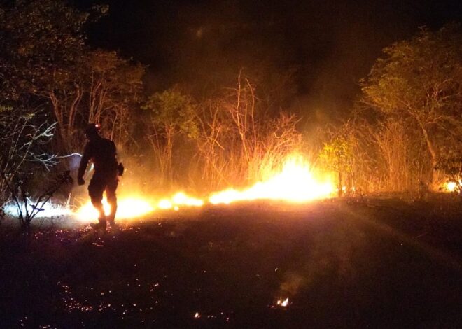 “Inovação do IFCE surge como aliada na proteção contra incêndios florestais”