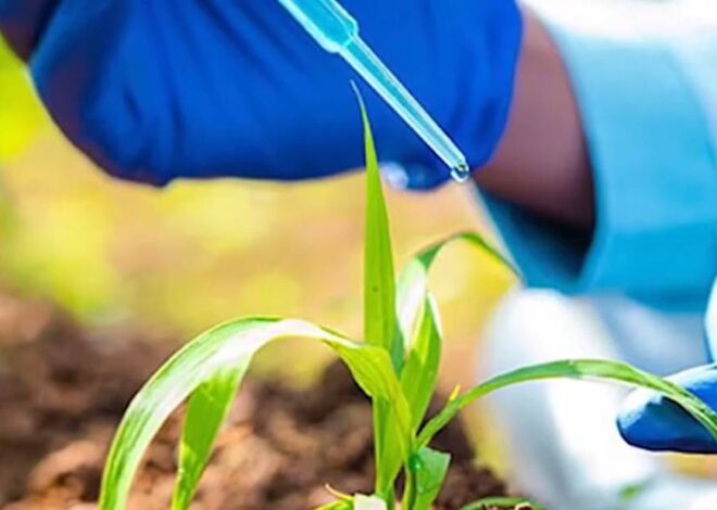 Bioinsumos: a aposta sustentável para aumentar a produtividade agrícola