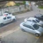 “Tragédia em Manaus: Dois cães perdem a vida atropelados por viatura da PM”