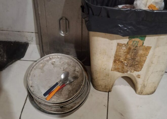 Estabelecimento gastronômico em Fortaleza é fechado por infestação de insetos na área de preparo dos alimentos