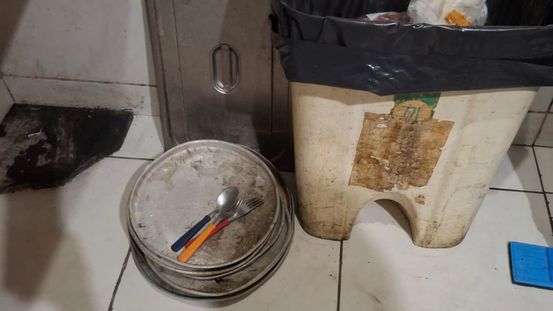 Estabelecimento gastronômico em Fortaleza é fechado por infestação de insetos na área de preparo dos alimentos