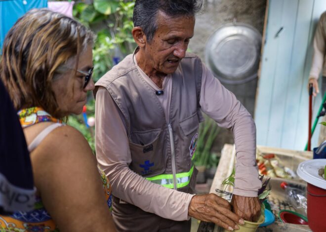 Ações de combate ao mosquito da dengue são realizadas em Fortaleza e Região Metropolitana durante Operação Fronteira