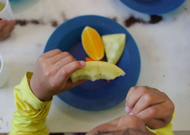 Ceará proíbe alimentos ultraprocessados nas escolas; veja a relação dos itens banidos