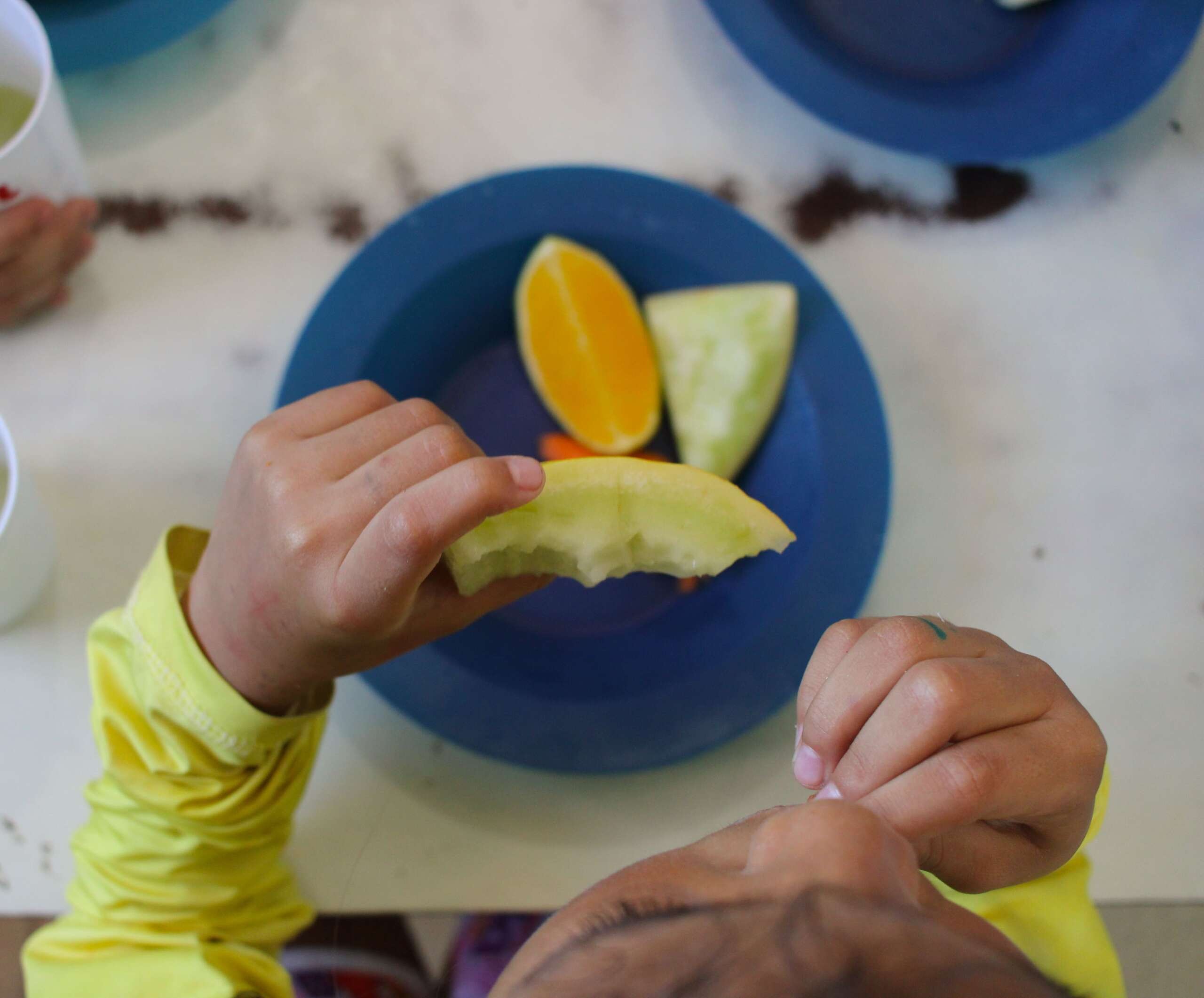 Ceará proíbe alimentos ultraprocessados nas escolas; veja a relação dos itens banidos