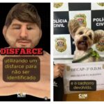 Homem é detido em pet shop de SP por roubo de cachorro e uso de máscara realista