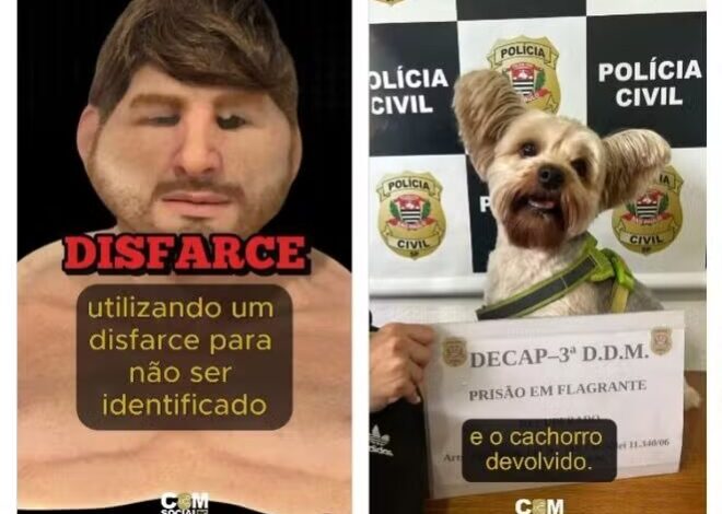 Homem é detido em pet shop de SP por roubo de cachorro e uso de máscara realista