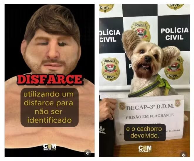 Homem é detido em pet shop de SP por roubo de cachorro e uso de máscara realista