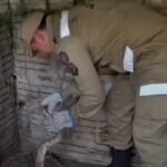 Serpente é salva de galinheiro em Beberibe, litoral cearense