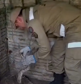 Serpente é salva de galinheiro em Beberibe, litoral cearense